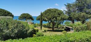 un jardin avec des arbres et l'océan en arrière-plan dans l'établissement Villa I Merli Nous contacter avant réservation, à Saint-Florent