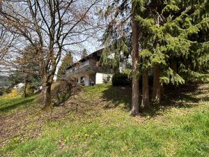 a house sitting on top of a hill with trees at Private Spacious Villa near Winterberg and Willingen 14 Guests HUGE GARDEN Free Parking for Multiple Cars in Olsberg
