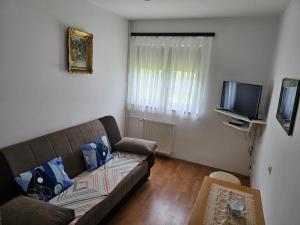 a living room with a couch and a flat screen tv at House Špehar in Seliste Dreznicko