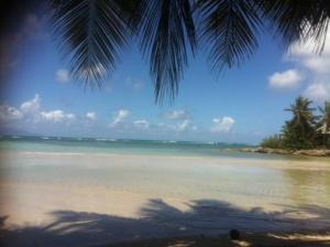 a palm tree shadow on a beach with the ocean at Au bord de mer in Les Basses