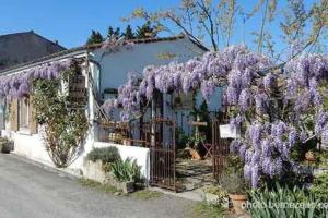 Κήπος έξω από το Maison Coquelicots - 4 personnes - jardin