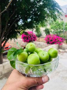 a person holding a glass bowl of green apples at Pasha's house 
