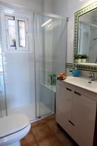 y baño con ducha, lavabo y aseo. en BALCON DEL DUENDE, en Nerja