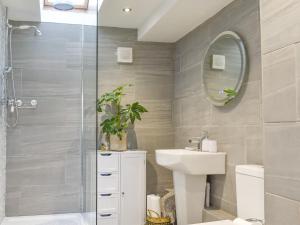 a bathroom with a shower and a sink and a mirror at Wisteria Lodge At The Shipon in llanbedr-dyffryn-clwyd