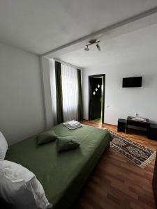 a bedroom with a green bed and a television at Casa Mihai și Clara in Călimăneşti