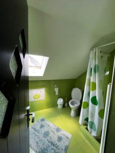 a bathroom with a toilet and a shower curtain at Casa Mihai și Clara in Călimăneşti