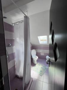 a bathroom with a shower with a toilet in it at Casa Mihai și Clara in Călimăneşti