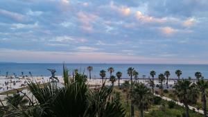 vistas a una playa con palmeras y al océano en Durres City Apartment, City center & close to the beach en Durrës