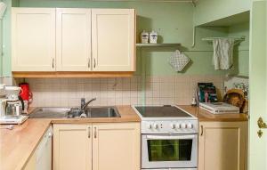Η κουζίνα ή μικρή κουζίνα στο 4 Bedroom Lovely Home In Fusa