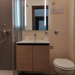 a bathroom with a sink and a toilet and a mirror at Da Carla Dolomiti Val di Zoldo in Val di Zoldo +25 photos