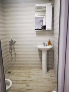 a bathroom with a sink and a shower and a toilet at Apartment Dapcevic Skadar lake in Vranjina