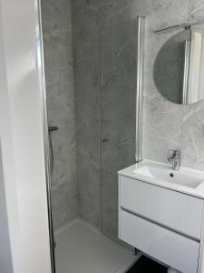 ein Bad mit einer Dusche, einem Waschbecken und einem Spiegel in der Unterkunft Linked Chalet in Oostvoorne