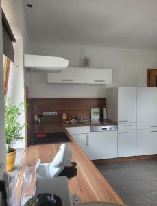 Kuchyň nebo kuchyňský kout v ubytování Ferienwohnung Biohof Untermar
