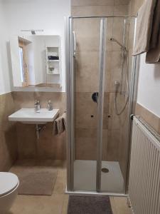 a bathroom with a shower and a sink at Ferienwohnung am Altenstein in Grafenau