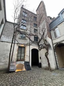 an old building with a tree in front of it at Cozy Antwerp - Cityview Family Apartment FREE PARKING in Antwerp