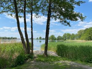 dos árboles en un campo junto a un cuerpo de agua en Bajkowa Przystań domki nad jeziorem, 