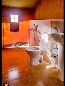 a bathroom with a toilet and a sink at Wooden Nest Cottage Hunder, Nubra Valley in Nubra