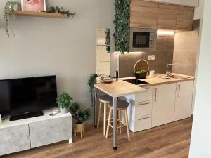 Kuchyň nebo kuchyňský kout v ubytování Balaton Breeze Apartman
