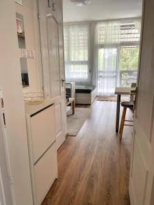 Kuchyň nebo kuchyňský kout v ubytování Balaton Breeze Apartman