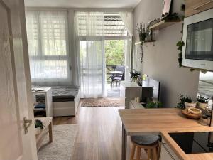 Kuchyň nebo kuchyňský kout v ubytování Balaton Breeze Apartman