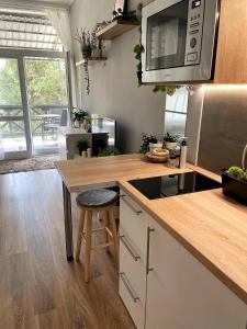 Kuchyň nebo kuchyňský kout v ubytování Balaton Breeze Apartman