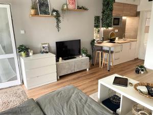 Kuchyň nebo kuchyňský kout v ubytování Balaton Breeze Apartman