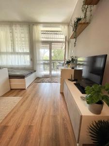 TV a/nebo společenská místnost v ubytování Balaton Breeze Apartman