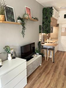 TV a/nebo společenská místnost v ubytování Balaton Breeze Apartman