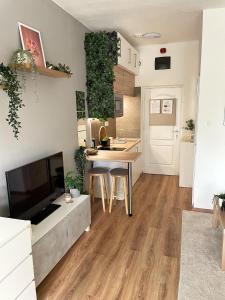 Kuchyň nebo kuchyňský kout v ubytování Balaton Breeze Apartman