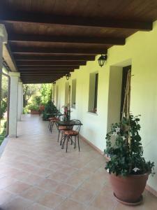 Fotografie z fotogalerie ubytování Domo Minnannu Miriu v destinaci Trudda