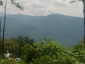 een uitzicht op een bergketen vanuit een bos bij Mountain View Homestay Kalimpong in Kalimpong