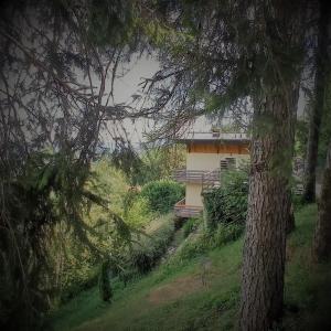 uma casa no topo de uma colina com árvores em La Casa di Anna nel Parco delle Dolomiti Croce D'Aune em Pedavena