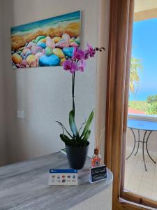 Gambar di galeri bagi B&B villa orchidea di Ricadi