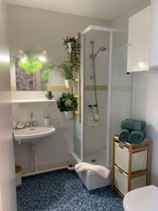 a bathroom with a shower and a sink at L'Horizon - Vue sur l'Océan in Saint-Hilaire-de-Riez