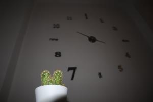 Photo de la galerie de l'établissement Lavinia house, à Lido di Ostia