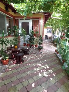 un patio con tavoli e piante in vaso in un edificio di Casa Daria a 2 Mai