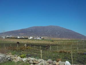Loodusmaastik of the bed and breakfast lähedal