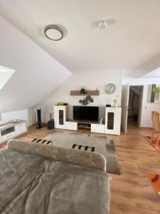 ein Wohnzimmer mit einem Sofa und einem TV in der Unterkunft Dachgeschoss Apartment mit Ausblick in Halle an der Saale