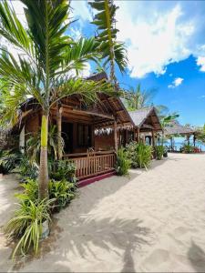 un complejo en la playa con una palmera en Zhaya's Beach & Cottages, en El Nido