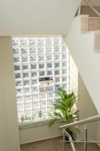 a window in a staircase with a plant in front of it at Wolf Suites in Antalya