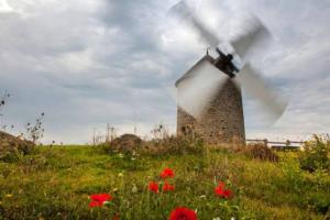 Vonkajšia záhrada v ubytovaní La baie du Mont Appartement de vacances proche du Mont Saint Michel