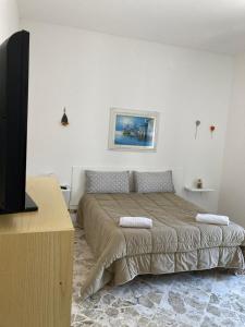 a bedroom with a bed and a flat screen tv at Dimora AnVi in Bari