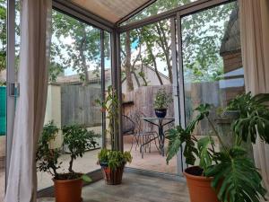 Vonkajšia záhrada v ubytovaní Appartement 70 m2 avec terrasse, proche de la mer
