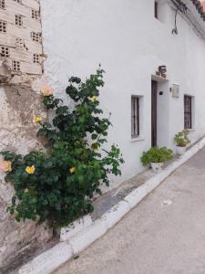 Fotografie z fotogalerie ubytování Casa Olaila v destinaci Narboneta