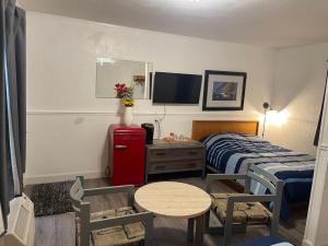 a small room with a bed and a table and a tv at Cedar Vista Motel in Tobermory