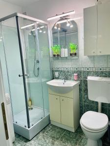 y baño con ducha, aseo y lavamanos. en S&S Apartment Studio at Ground Floor Timisoara Town !!!, en Timisoara