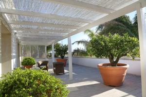 een patio met een witte pergola met bomen en planten bij La Vigna in Leverano