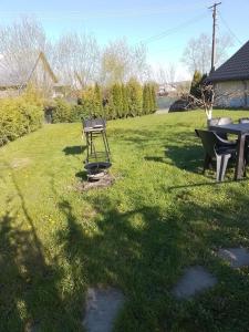 a picnic table and a grill in a yard at Casa Mamei in Suceava