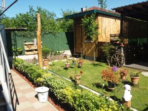 un jardín con macetas y un cobertizo de madera en APARTMENT B O R A en Tskaltubo