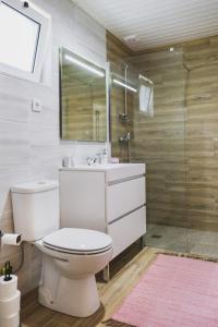 y baño con aseo, lavabo y ducha. en Casa Vilar R/C, en Ponte de Lima
